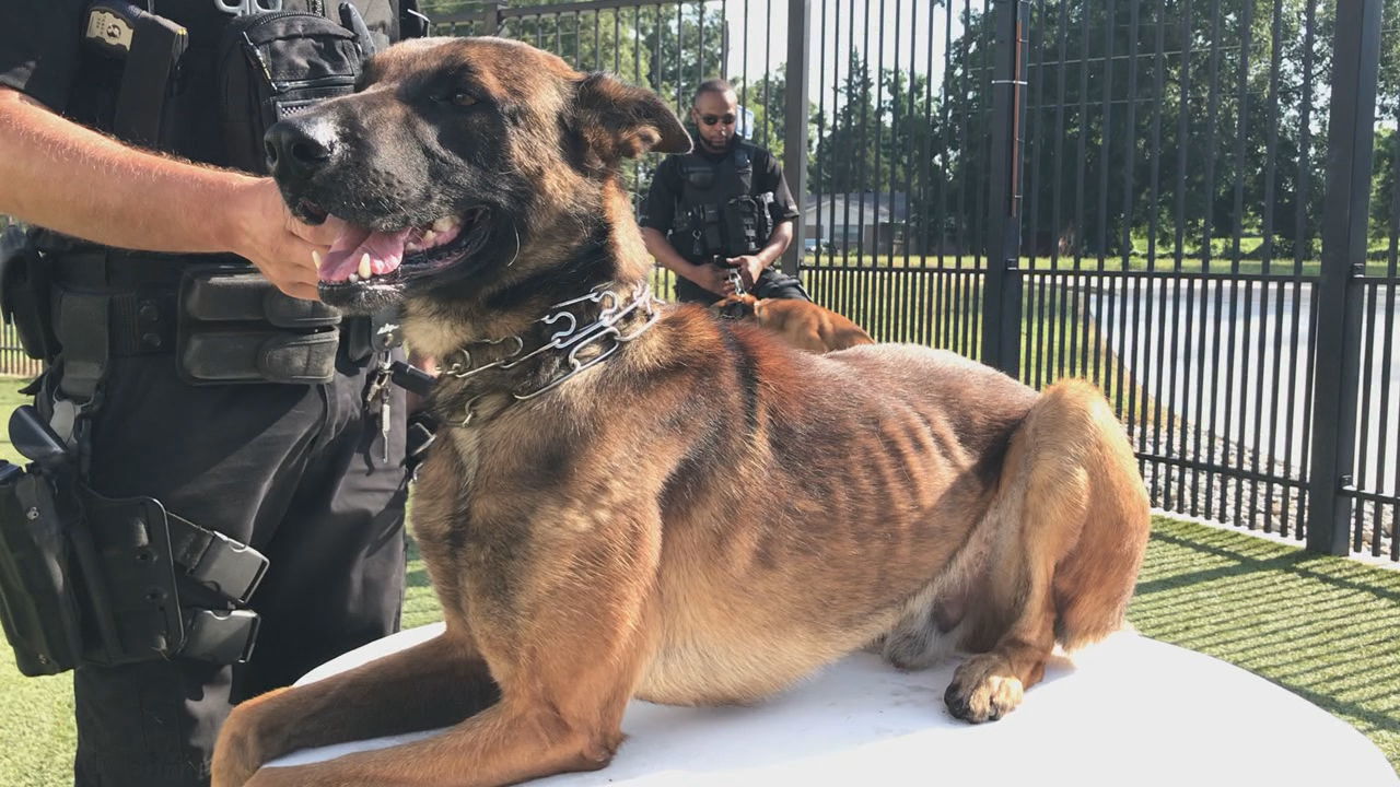 Shreveport K9.jpg